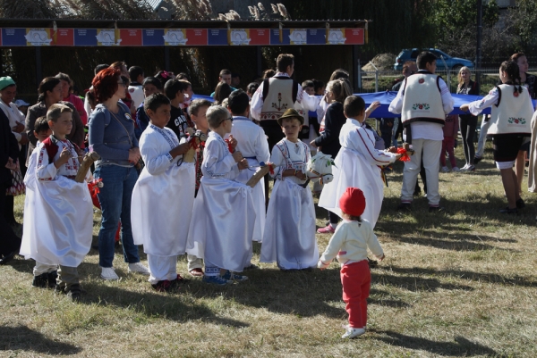 Băcani 2018, 