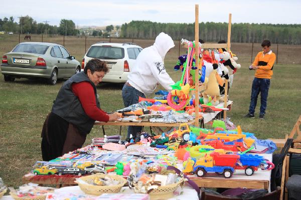 Pregatirea evenimentului - Sarbatoarea Zilele Toamnei - Bacani 2015